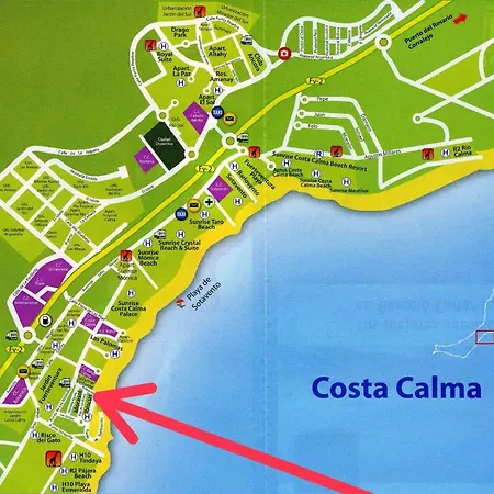 Hibiscos Costa Calma