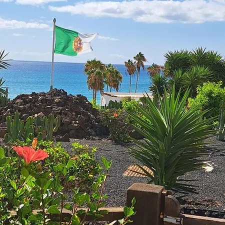 Hibiscos