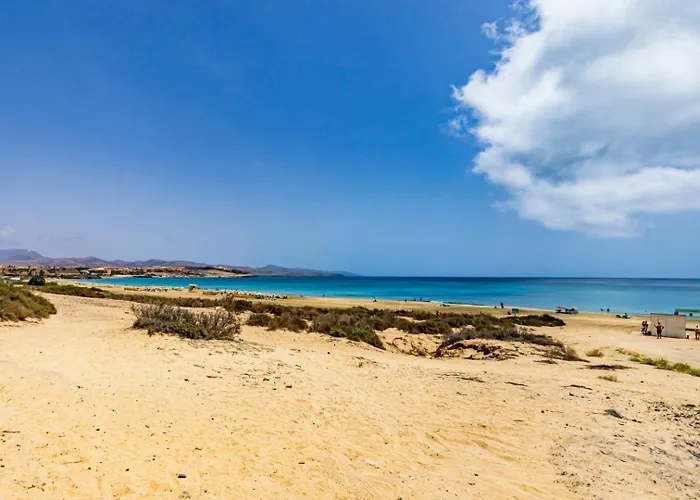 アパート Hibiscos 406