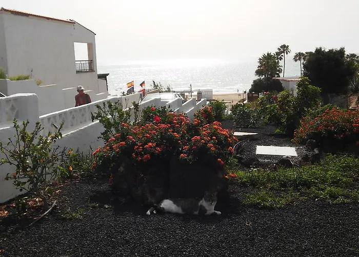 Hibiscos 406 アパート