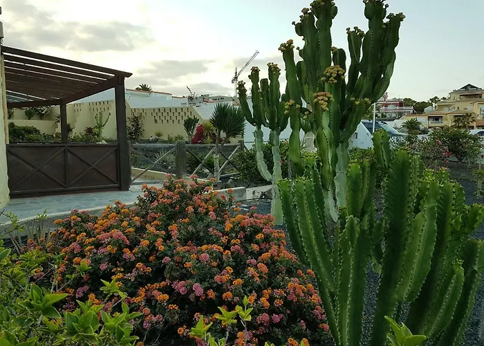 アパート Hibiscos 406 *