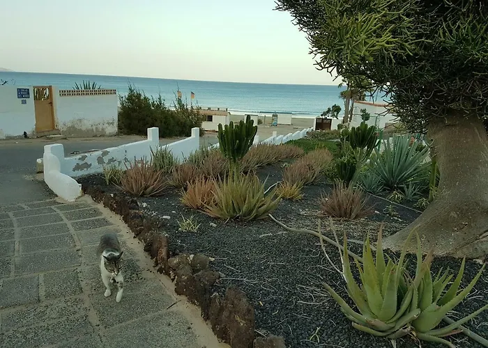 Hibiscos 406 アパート