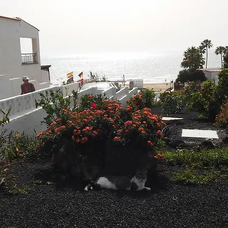 Hibiscos 406 Lejlighed