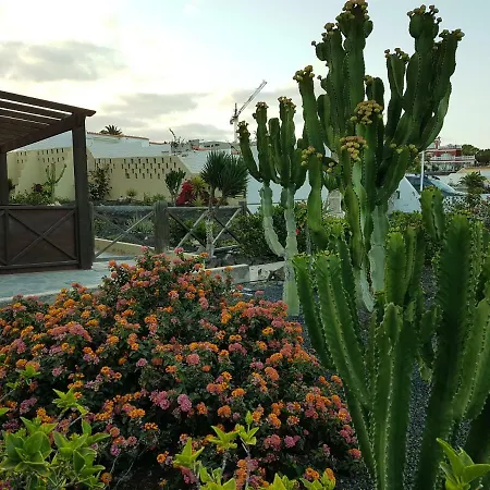 Lejlighed Hibiscos 406 *